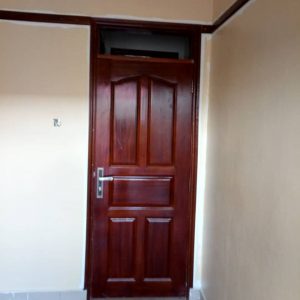 buying doors